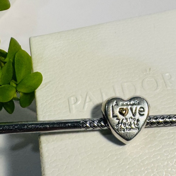 Authentic Retired Pandora ‘Heart of the Family’ Two-Tone Charm - Picture 4 of 11